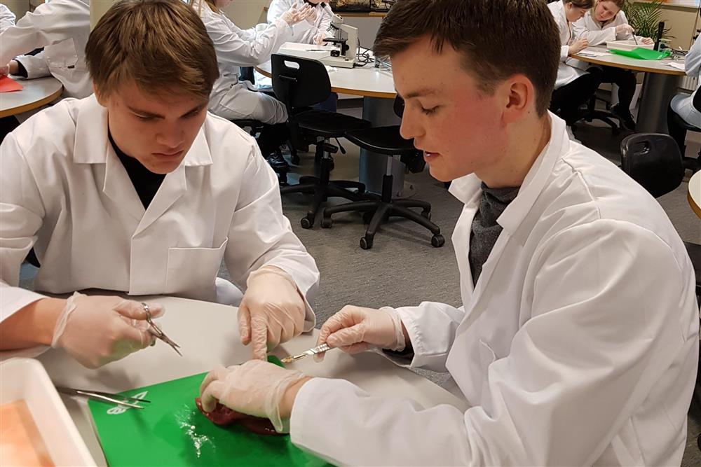 Klikk for stort bilete